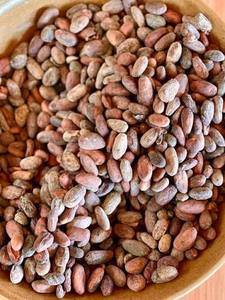 Wholesale Trading Available In Stock High-Quality Baking Chocolate Raw Materials Cocoa <b>Beans</b> From West Africa Origin For Sale - Product Image 5