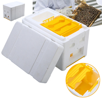 Matériel d'apiculture : Mini-nucs de reproduction pour reines, Boîtes de reproduction en polystyrène, Matériel essentiel pour l'apiculture