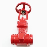 Équipement de lutte contre l'incendie de prix usine Type de rainure DN50-DN200 Vanne de porte de cale de tige montante