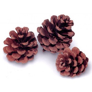 Pomme de pin naturelle en gros prix pomme de pin décoration de noël pour la décoration de chambre et de fête - Product Image 1