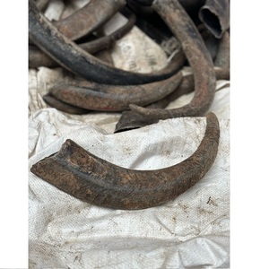 Nourriture naturelle pour chiens, jouet à mâcher pour chien en corne de buffle, nourriture à mâcher pour chien en corne de buffle, personnalisé - Product Image 3