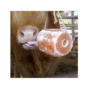 Services de lécher les animaux carrés de sel rose de l'Himalaya fabriqués à la main de haute qualité directement du fabricant pakistanais Technique sculptée - Product Image 6