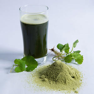 ผง Gotu Kola ออร์แกนิกผงใบเซนเทลล่าสีเขียวบริสุทธิ์ผลิตในประเทศเวียดนาม - Product Image 6