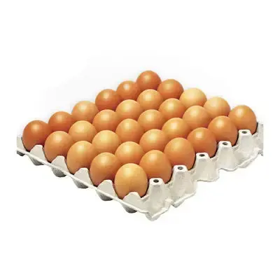 Свежие куриные столовые яйца