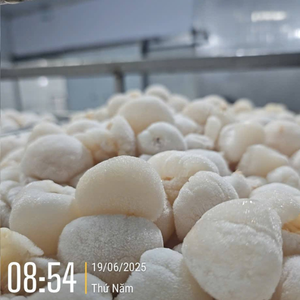 Lychees surgelés IQF, approvisionnement direct usine Vietnam, goût frais, longue durée de conservation, prêts à être expédiés - Product Image 2