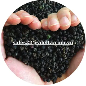 Vendita calda pepe nero di alta qualità 550GL FAQ pepe nero spezie esalta il sapore per il piatto/Kevin Tran + 84 968311314