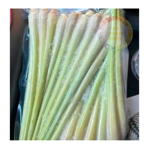 Tiges de citronnelle congelées en vrac provenant directement du Vietnam pour les transformateurs alimentaires détaillants et les marchés d'exportation - Product Image 3