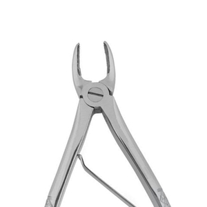 Fórceps de Extracción Dental de Acero Inoxidable, Herramienta Manual Profesional para Molares y Premolares, Cirugía Oral - Product Image 2