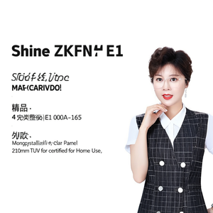 Panneau solaire monocristallin à demi-cellules Shine ZKFN E1 000A-165 de type N, 210 mm, certifié TUV pour usage domestique - Product Image 2