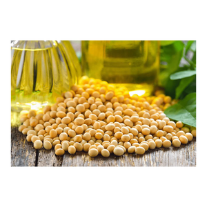 Aceite de Soja Fraccionado Refinado Orgánico a Granel, Grado A, 99% de Pureza, para Pedidos al por Mayor, Alta Calidad, Envío Oportuno - Product Image 6