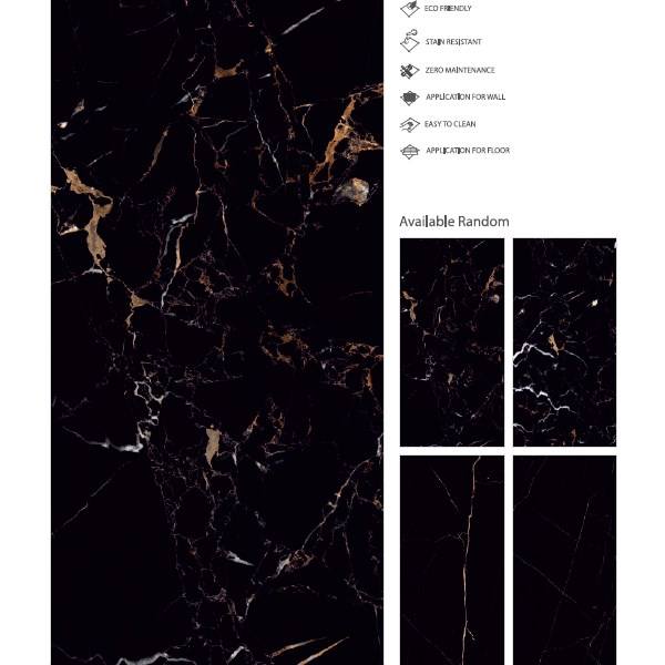 จากัวร์สีดำ