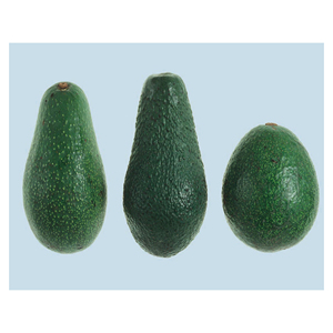 อะโวคาโดสดในฟาร์มรสชาติอร่อยครีมอัดแน่นไปด้วยสารอาหารที่สมบูรณ์แบบสำหรับสมูทตี้ขนมปังสลัดและอาหารเพื่อสุขภาพ - Product Image 1