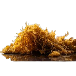 WILDCRAFTED MOSS DE MER/MOUSSE D'IRLANDE/EUCHEUMA COTTONII FAISANT DU GEL DE COUTURE DU VIETNAM-NOUVELLE VENTE EN 2023 _ EXPÉDITION ÉCHANTILLON GRATUIT - Product Image 1