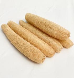 ฟองน้ำใยบวบธรรมชาติเป็นมิตรกับสิ่งแวดล้อมอ่อนโยนปลอดสารพิษและเหมาะสำหรับผู้ซื้อขายส่งในราคาที่ไม่มีใครเทียบได้