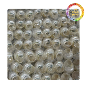 Iridescent Turbo Shell du Viet Nam | Couleur blanche et verte | Prêt pour la fabrication de bricolage et le verre à vin - Product Image 5