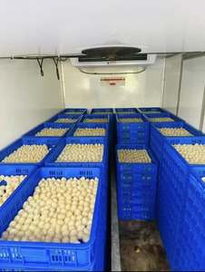 Vải Thiều đông lạnh không hạt | hương thơm ngọt ngào | nguồn gốc Việt Nam - Product Image 3