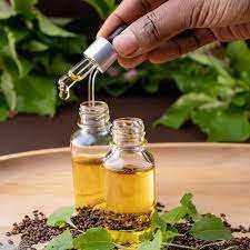 100% Pure Holi Basil Essentie Oil Venta al por mayor Bulk Essential hoil Basil Oil Aceite de albahaca Holi natural y puro - Product Image 2