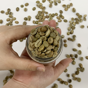 รับผลิตแบรนด์ของคุณเอง เมล็ดกาแฟโรบัสต้าจากเวียดนาม เกรด S18 กระบวนการธรรมชาติ ผลผลิตใหม่ พร้อมจัดส่ง - Product Image 5