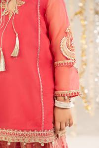 Lehenga Choli Bordado de Lujo para Niñas Pakistaníes, para Bodas, Fiestas y Ocasiones Especiales, con Protección Solar - Product Image 4