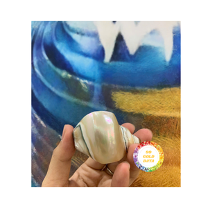 Servilleteros de concha de mar Premium para hoteles de lujo que buscan detalles de mesa únicos Mr Ryan de 99 Gold Data - Product Image 1