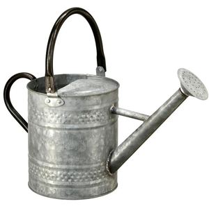 Regadera de Metal gris para plantas de interior y exterior, plancha para regar flores, jardín, casa, gran cantidad personalizada, venta al por mayor - Product Image 6