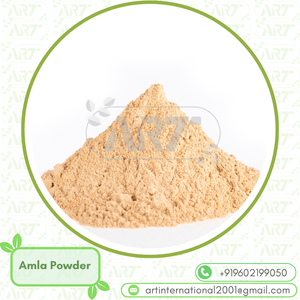 Amla en polvo extracto botánico solución rica en antioxidantes para cabello fuerte piel brillante Salud a base de hierbas y bebida de desintoxicación - Product Image 5