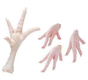 Pechuga de Pollo Halal Congelada, Sin Hueso ni Piel, en Paquete a Granel, Certificada Halal, Saludable, Baja en Grasa, Proteína, Grado de Exportación - Product Image 6