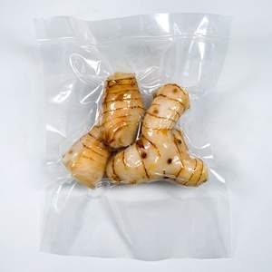 Lengkuas-Raíz de galangal para sopa, a granel, Vietnam - Product Image 2