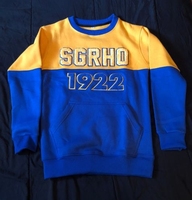 Pull-over d'hiver uni pour homme en molleton de haute qualité avec broderie chenille Gold Sigma Gamma Rho Phi Delta Alpha Theta Psi Lambda