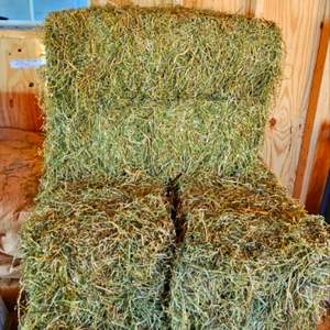 Wholesale Alfalfa Hay Timothy Hay Protein-Rich <b>Pellet</b> in Dried Style Available in Bales Bags for Fish Dogs Pigs Cattle Horses - Product Image 2