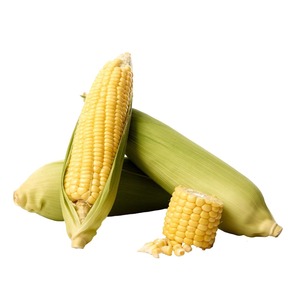 Maíz Seco de Primera Calidad para Alimentación de Aves de Corral y Ganado, Fabricación de Alimentos, Agricultura y Pedidos de Exportación a Gran Escala en Todo el Mundo - Product Image 6