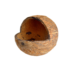 Cuencos para mascotas de cáscara de coco natural hechos a mano y comederos redondeados para pájaros ecológicos para uso alimentario - Product Image 5