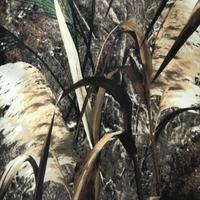 Max Realtree Camouflage Tissu 210D 420D Oxford Imprimé Tissu Revêtement Isolation Thermique Isolation Thermique Étanche pour Hommes