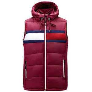 Chaqueta de invierno personalizada para hombre con cuello levantado nueva moda chaleco acolchado cálido hecho de lona impermeable - Product Image 2