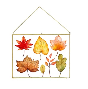 Square Shape Pressed <b>Leaves</b> Glass Wall Frame for Display for Home Living Room Office Wall Hanging Decorative Item - Product Image 3