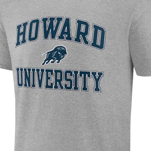 Camiseta de algodón Unisex DE LA Universidad de Howard, ropa HBCU personalizada, estampado de pantalla frontal, bordado, tejido transpirable para pedidos a granel - Product Image 3