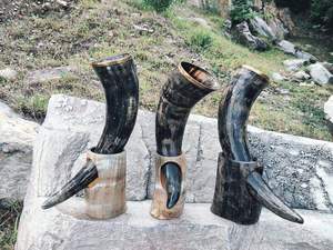 Corne à boire naturelle avec support de corne Corne de Viking Taille personnalisée PAR HF CRAFTS - Product Image 4