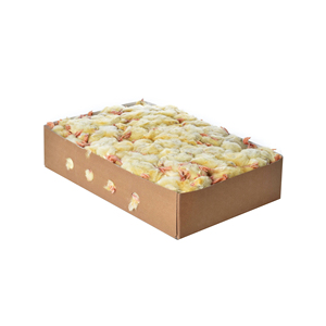 ลูกไก่อายุวันแช่แข็งคุณภาพพรีเมี่ยมสำหรับเลี้ยงและเลี้ยงปศุสัตว์ - Product Image 6