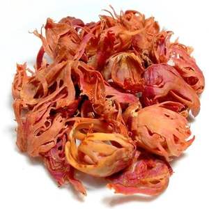 Mace CO2 Extrait Premium Extrait de plante pour diverses applications - Product Image 1