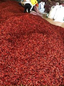 Piments rouges crus congelés de qualité supérieure, de qualité premium, congelés individuellement (IQF), pour une excellence culinaire, sans additifs. - Product Image 4