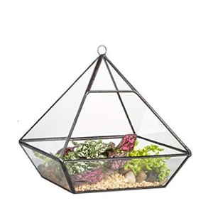 Florero de forma geométrica de mesa de Terrario de metal y vidrio para decoración interior - Product Image 5