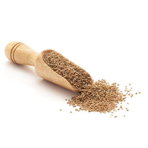 Handpicked Ajwain (Carom Seeds) for <b>Spice</b> Blends and Health Agriculture <b>Product</b> - Product Image 5