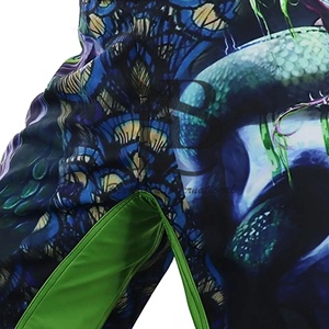 2025 ropa deportiva ligera Unisex transpirable Dragon MMA pantalones cortos para boxeo y otras artes marciales OEM Impresión de logotipo personalizado - Product Image 3