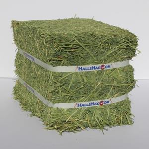 Heno de alfalfa para alimentación a gran escala, heno de alfalfa secado al sol y comprimido en embalaje a granel para venta al por mayor - Product Image 1