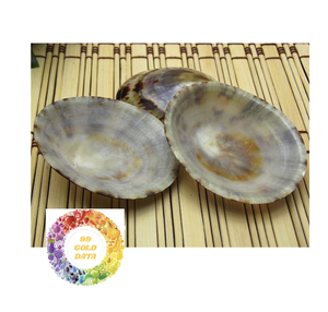 Coquillages Artisanaux Polis: Formes et tailles uniques pour les efforts créatifs. - Product Image 1