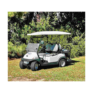 Carritos de Golf Eléctricos a Precio de Mayoreo Económico, Compre Carritos de Golf Eléctricos al Mejor Precio - Product Image 1