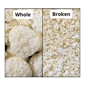 เห็ดหิมะแห้ง (Tremella fuciformis) แบบเกล็ด สำหรับทำของหวาน ซุป และเครื่องดื่ม ปรุงง่าย ผลิตในเวียดนาม - Product Image 6