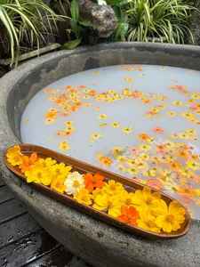 Bols décoratifs en bois, bol à pâte en bois, bol à bougie, bol à noix en bois, design classique pour servir les aliments - Product Image 6