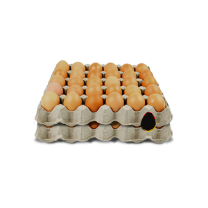 Huevos frescos marrones suministrados en stock para compradores globales con entrega confiable - Product Image 2