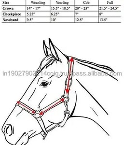 Nuevo diseñador Six Fancy Padded Halter-Latón Níquel Hardware Ajustable Horse Halter Hecho en India con cuero genuino 100% - Product Image 6